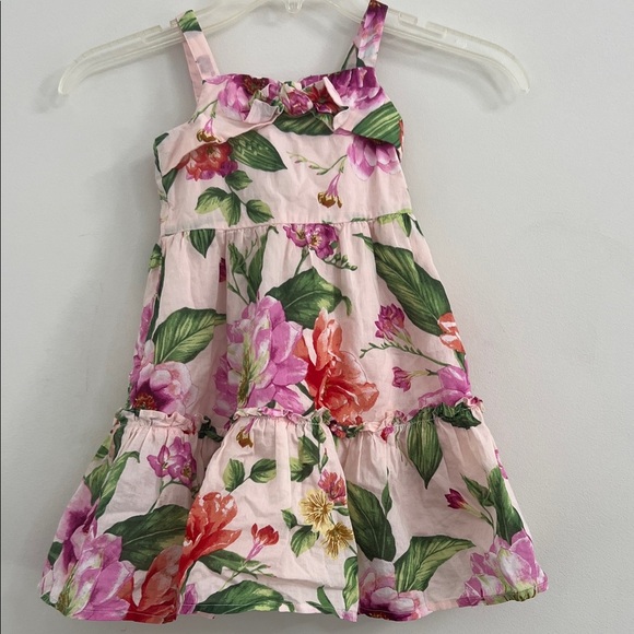 Janie and Jack Other - Janie and Jack Pink Floral Dress